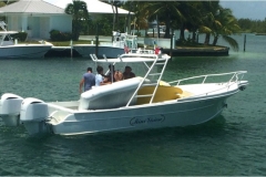 Mini Vision 32 Foot tender to Envision